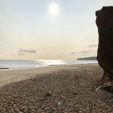 Merchants Quarters - Berkano - Stunning Apartment - Harbour And Sea Views - Free Roof Top Terrace With Sea And Harbour View And Central Location To Beaches Amenities Restaurants And Harbour * 斯卡伯勒