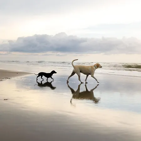 Merchants Quarters - Berkano - Stunning Apartment - Harbour And Sea Views - Free Roof Top Terrace With Sea And Harbour View And Central Location To Beaches Amenities Restaurants And Harbour