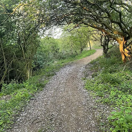 Merchants Quarters - Berkano - Stunning With Harbour And Sea Views, Roof Terrace And Location To Amenities Scarborough