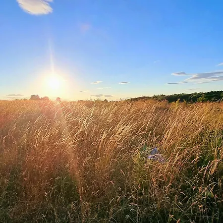 Merchants Quarters - Berkano - Stunning With Harbour And Sea Views, Roof Terrace And Location To Amenities Сasa de vacaciones