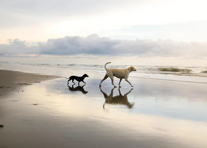 Merchants Quarters - Berkano - Stunning - Harbour And Sea Views - Free Roof Terrace With Sea And Harbour View And Location To Beaches Amenities Restaurants And Harbour